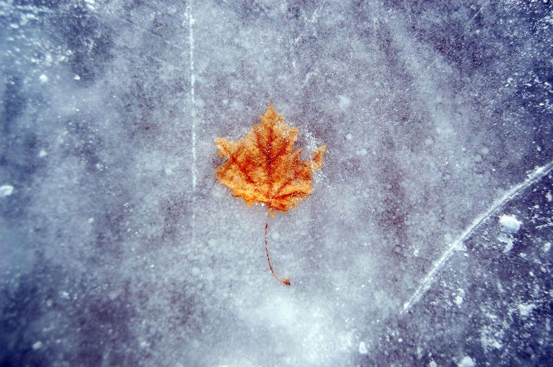Illustration for article titled Shooting Challenge: Ice, Gallery 2